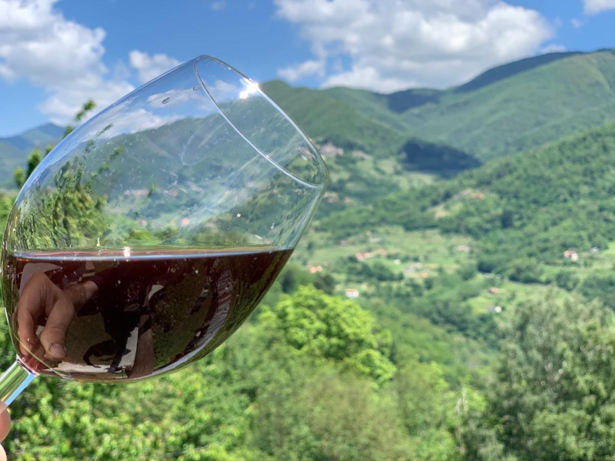 Casa Emma Fiattone In Garfagnana Βίλα Εξωτερικό φωτογραφία